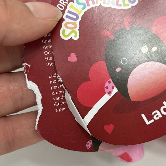 3 Squishmallows Mini Ladee Ladybug Reina Butterfly Angelica Cupcake With Tags - Picture 5 of 13